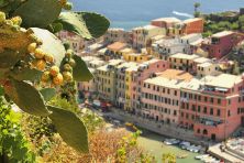 opuntia fruit along the rugged coastline of vernazza.jpg